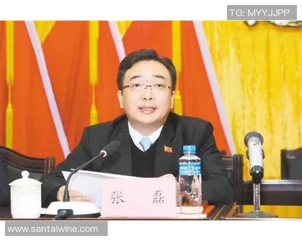 专访张磊：深入探讨篮球领域成功的秘诀与经验分享