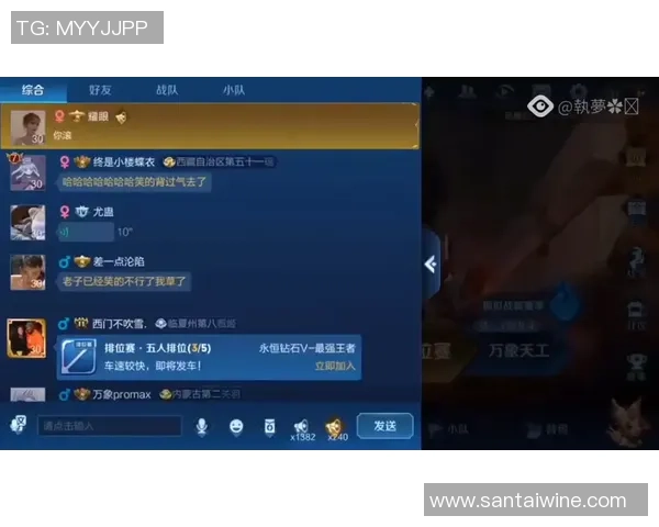 对话陈丽：回顾王者荣耀职业生涯与未来发展展望